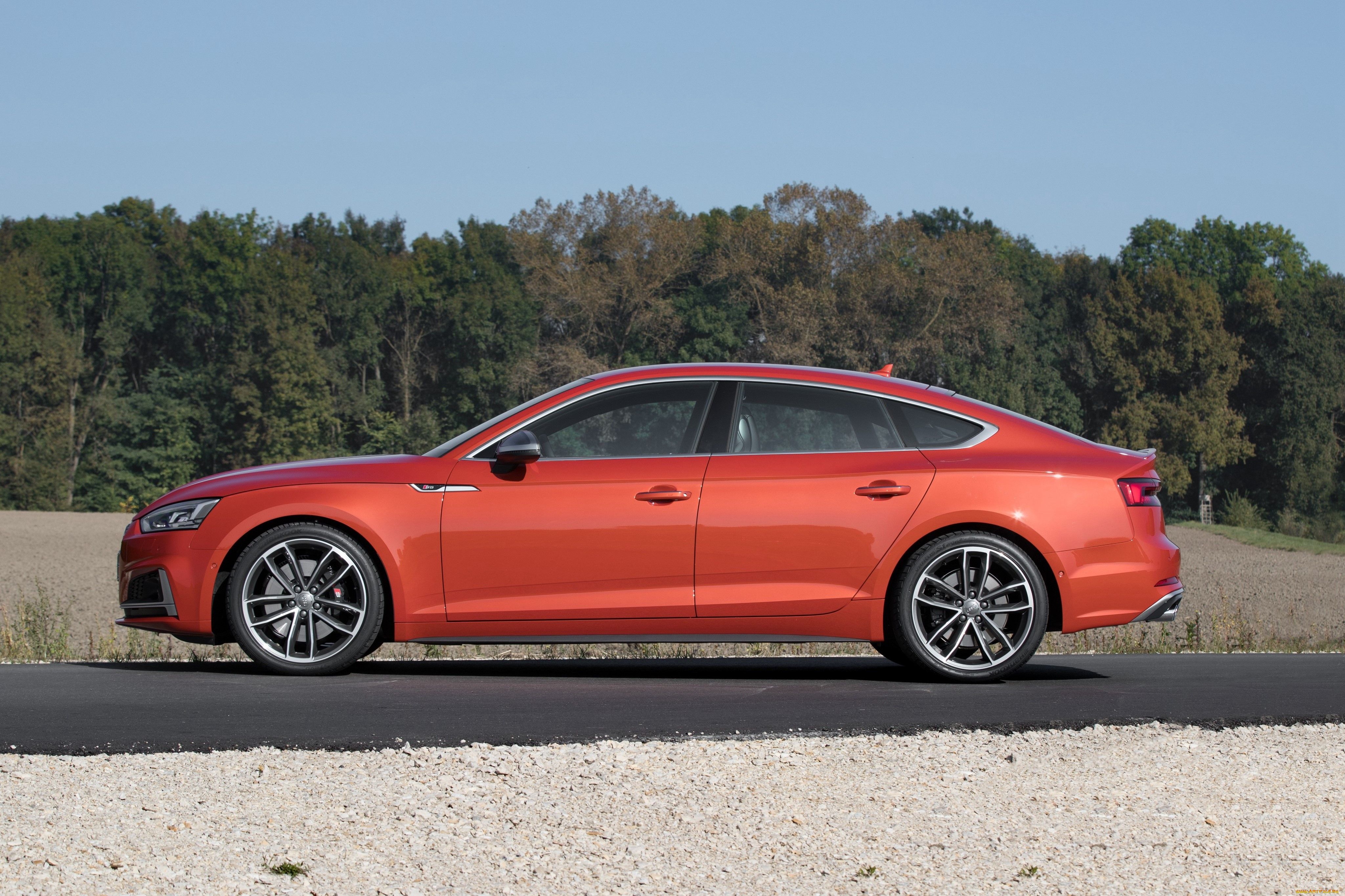 , audi, sportback, s5, 2016